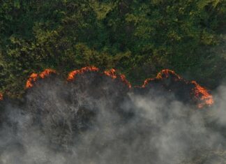 Incêndio se espalha pelas florestas do Pantanal depois de acidente de caminhão