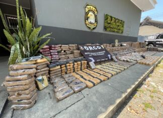 Polícia Civil apreende 1,2 tonelada de drogas avaliada em mais de R$ 20 milhões em caminhão no Porto da Ceasa