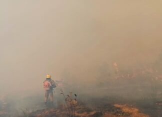 Em Apuí, bombeiros da Operação Aceiro combatem incêndio em área de pasto