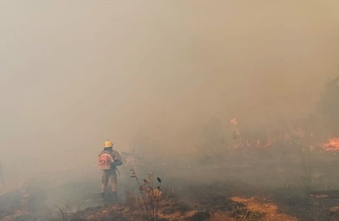 CBMAM-INCENDIO-EM-PASTO-APUI-02