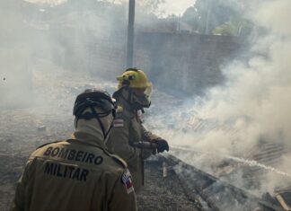 Em dois meses, Operação Aceiro 2024 combateu 4.276 focos de incêndios no interior