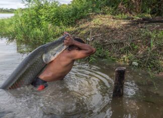 Filme amazonense que estreou no Teatro Amazonas concorre ao ‘Oscar’ do cinema de natureza