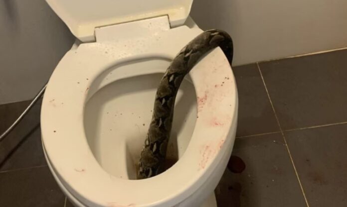 hwr