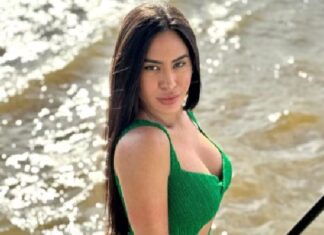Isabelle Nogueira lamenta queimadas na Amazônia: ‘É devastador ver nossa floresta consumida pelo fogo’