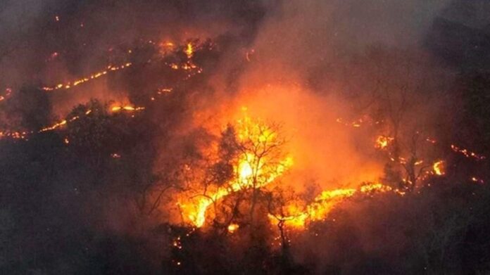 queimadas-assolam-regiao-do-pantanal-no-mato-grosso-do-sul-imagem-via-prevfogo-ibama-ms