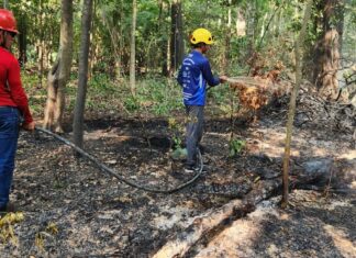 Unidades de Conservação do Baixo Rio Negro recebem ações de combate integrado a focos de incêndio