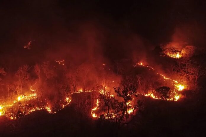 105445409-files-view-of-a-fire-in-cerrado-savanna-in-barreiras-western-of-the-bahia-state-brazil-tak