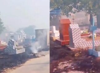 VÍDEO: Sem manutenção da Prefeitura, cemitério de Manaus sofre incêndio de grandes proporções