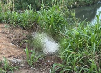 Em Manaus, corpo é encontrado com requintes de crueldade no bairro Cidade Nova