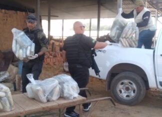 Operação Caurés: Polícia Civil incinera aproximadamente 200 Quilos de Drogas em Barcelos