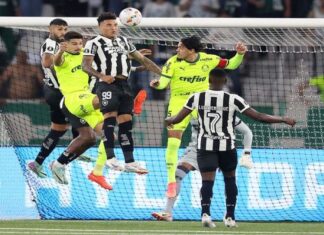 Chances de título do Botafogo no Brasileiro despencam após Palmeiras assumir a liderança