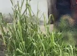 Homem é achado morto no Beco Ponce de Leão com mãos e pés amarrados