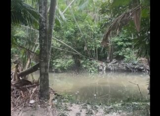 Em Manaus, corpo é encontrado boiando no Igarapé do Mindu; assista!