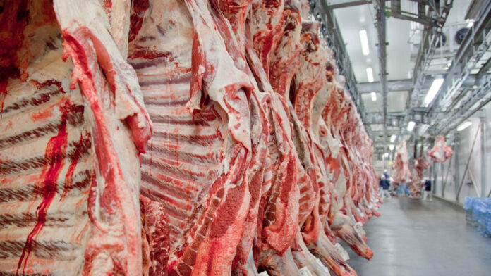 Frigorifico-Carne-Gado-Bovina-crop-20211026181809-960x540