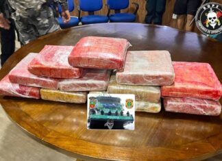 Em operação nos rios do Baixo Amazonas, polícia apreende quase 30kg de drogas em dois dias