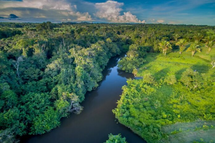 dia-da-amazonia