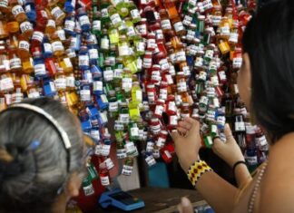 Empresários da Amazônia buscam protagonismo na COP30