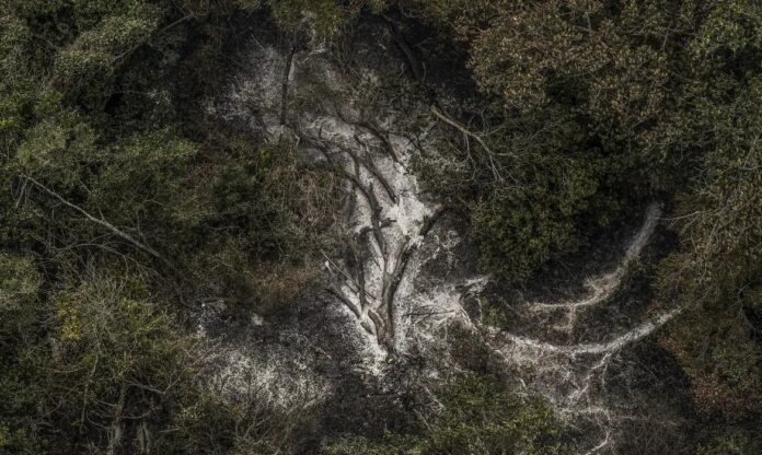 imagens-aereas-pantanal_mcamgo_abr_30062024-3_0