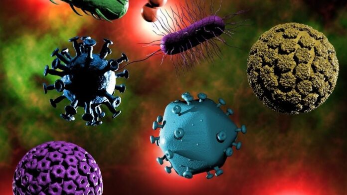 virus-e-bacterias-1624743101406_v2_900x506