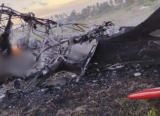 Empresário morre em queda de avião de pequeno porte na Bahia