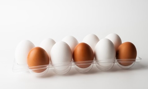 ovos