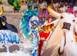 Temporada bovina 2025: Ensaios dos Bumbás no Sambódromo têm calendário definido