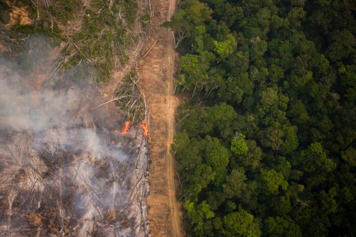 Amazon Rainforest in Burning Season
