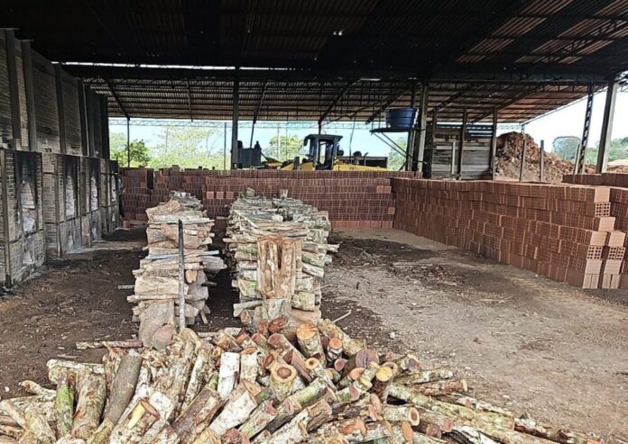 Equipe-do-Ipaam-e-do-Batalhao-Ambiental-durante-acao_Foto-3-30-04-2025