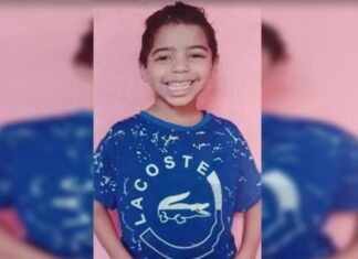 Corpo de menino de 8 anos com sinais de picadas de abelha achado em propriedade rural