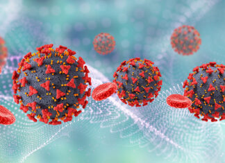 Relatório da OMS reafirma falta de consenso sobre origem do coronavírus causador da covid-19