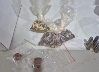 Homem furta pedras de vesículas de boi, conhecidas como “ouro bovino”