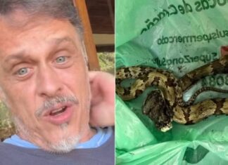 Guilherme Fontes é picado por cobra e recebe atendimento médico: ‘Doeu tanto que nem sei explicar’
