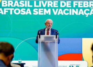 Lula chama Bolsonaro de “covardão” e diz que ex-presidente quase se “borrou” em depoimento ao STF