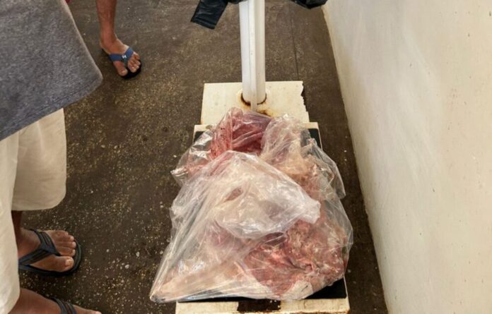 Carne-de-capivara_Foto-2-15-07-2025-1536x982