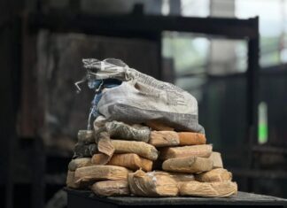 Polícia Civil do Amazonas lidera incineração de drogas no país e reafirma protagonismo nacional no combate ao narcotráfico