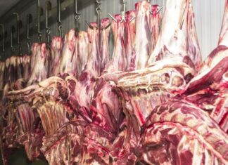 Tarifa de Trump leva frigoríficos de MS a paralisar embarques de carne bovina