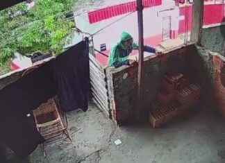 Tijolada derruba usuário de drogas pego roubando fios no Aleixo, zona Centro-Sul de Manaus