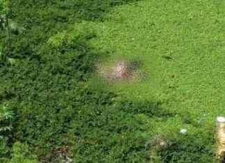 Moradores sentem odor forte e descobrem corpo em igarapé no bairro do Céu, Centro de Manaus