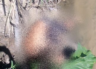 Homem com tatuagens é encontrado morto no Jorge Teixeira, zona leste de Manaus