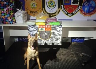 Haxixe marroquino é apreendido em caixa de papelão durante operação da Base Arpão 3