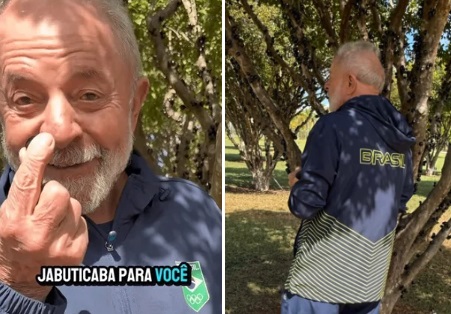 lula