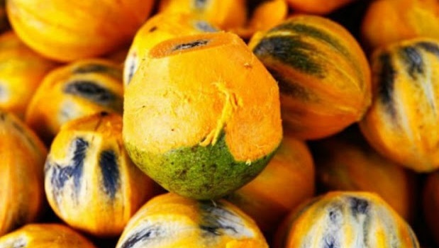 tucumã