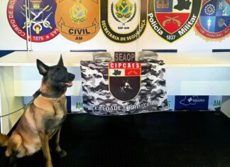 Polícia intercepta embarcação e apreende R$ 100 mil em drogas com mulher no interior do AM