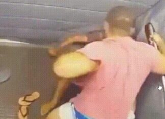 Mulher sofre violência extrema e namorado é detido em flagrante