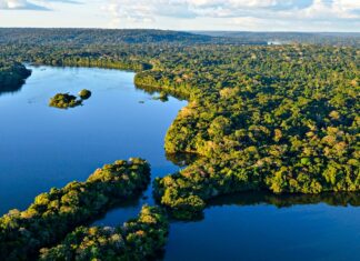 Em Manaus, Fundo Amazônia celebra 17 anos com novos investimentos e ampliação das ações de preservação
