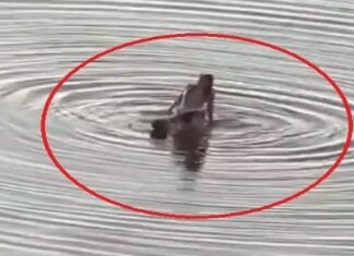 VÍDEO: Casal é flagrado em ‘ato sexual’ na Praia da Ponta Negra e cena gera repercussão em Manaus