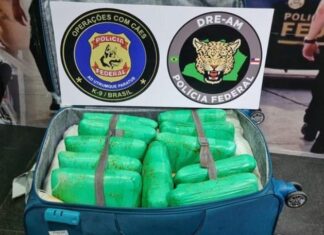 Polícia Federal apreende mais de 15 kg de maconha em bagagem de passageiro no aeroporto de Manaus