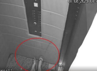 Ataque brutal em elevador deixa mulher ferida e leva marido à prisão preventiva