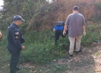 Corpo com marcas de tiros é encontrado em área de mata no Colônia Terra Nova em Manaus