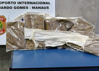 Suspeito corre de fiscalização, mas é preso com maconha no Aeroporto de Manaus